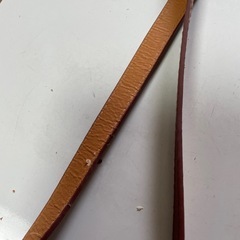 ベルトの画像