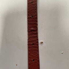 ベルトの画像
