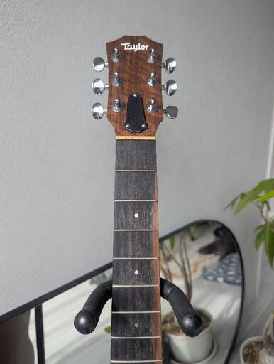 Taylor GS Mini アコースティックギター・ヨーロッパを旅した愛用品