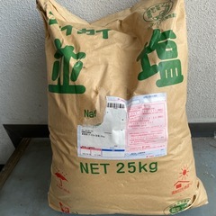 ナイカイ　並塩　25キロ