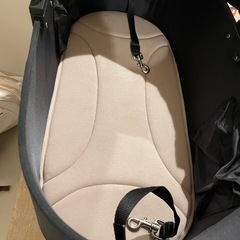 airbuggy dome3 ラージ（コットのみ） の画像