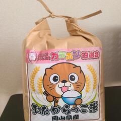 【4月13日まで】おたからっこ米(精米)