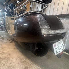 マグザム250