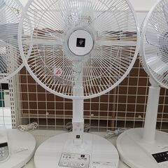 ★ジモティ割あり★ SHARP 扇風機  20年製 動作確認／クリーニング済み HJ6145の画像