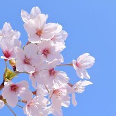☆さいたま新都心ランチ会　30代～50代☆お出かけ好きな方募集中☆彡