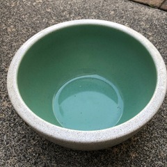 ［決まりました］睡蓮鉢の画像