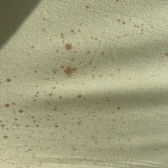 絵画 額付きの画像