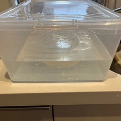 透明　収納ボックス