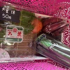 1セット限定☆昨日入荷分のお野菜在庫SALE☆