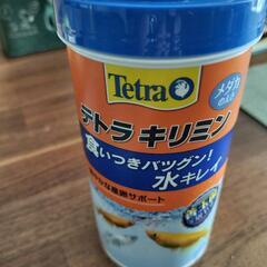 テトラキリミンめだか