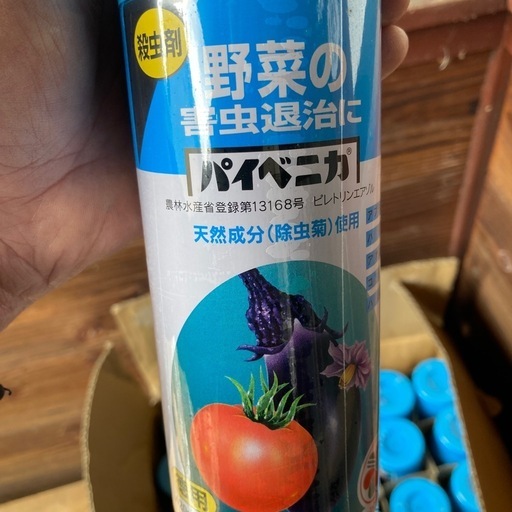 パイべニカ　野菜の害虫退治　殺虫剤