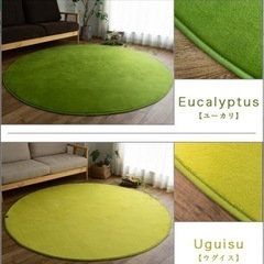 丸いラグ　緑系ユーカリ色　洗えるの画像