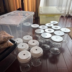 カブトムシ飼育セットの画像