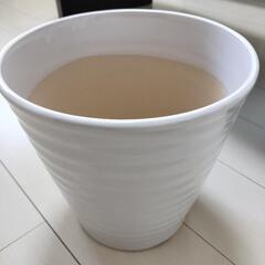 鉢　陶器?