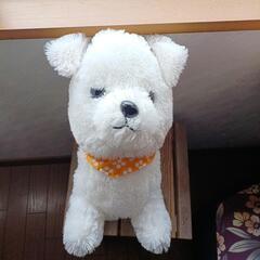 犬のぬいぐるみ