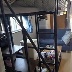 【譲渡先決まりました】の画像