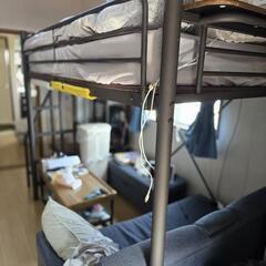 【譲渡先決まりました】の画像