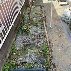 花壇の枠木の取り替え