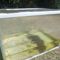訳あり　大きな水槽の画像