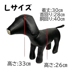 犬 マネキン トルソー Ｌサイズ