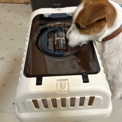 美品　リッチェル　ハードキャリー　Sサイズの画像