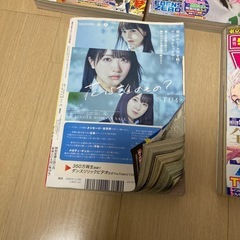 【最終価格】マガジン48〜52号の画像