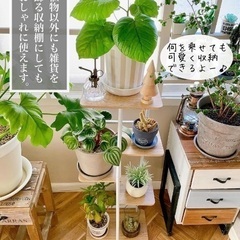 まとめて置ける観葉植物・多肉植物・フラワースタンド ５段