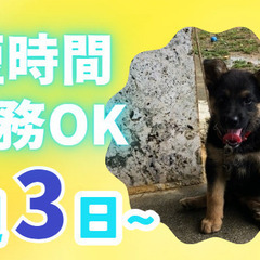 💚週3日～OK！1日2hから！日勤のみ！Wワーク・扶養内勤務OK...