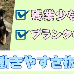 💚日勤のみ！賞与年2回！サ責未経験OK！正社員登用あり！サービス...