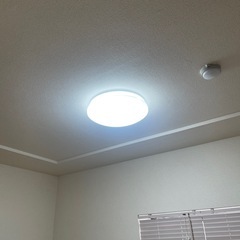 どんな部屋にも馴染むシンプル照明