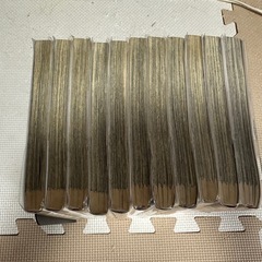 盾の勇者の成り上がりの画像