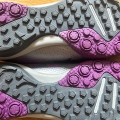 スパイクの画像