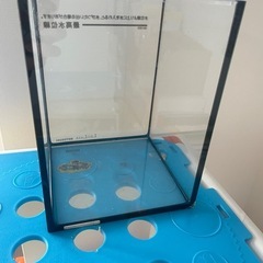 神戸市、たつの市で受け渡し可】リカルドビバリーヒルズ