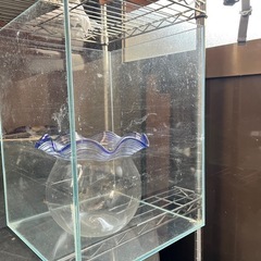 水槽セット