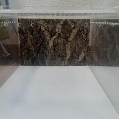レプタイルボックスの画像