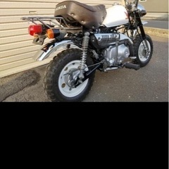 モンキー・ゴリラ・ダックス
の画像