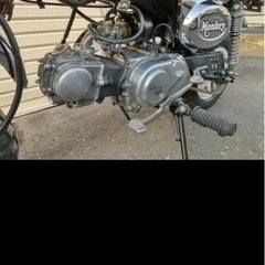 モンキー・ゴリラ・ダックス
の画像