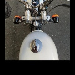 モンキー・ゴリラ・ダックス
の画像