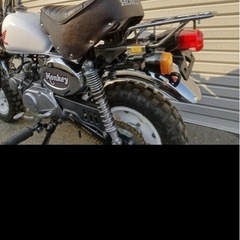 モンキー・ゴリラ・ダックス
の画像