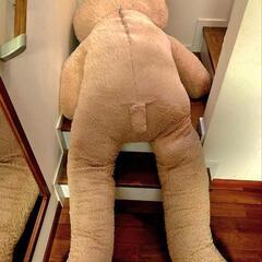 美品・2mの巨大なクマぬいぐるみの画像
