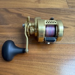 オシアコンクエスト301PGの画像