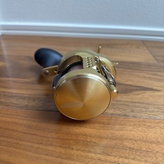 オシアコンクエスト301PGの画像