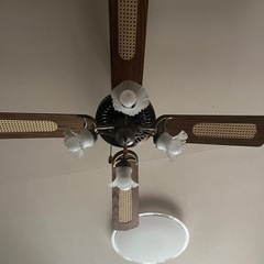 ファン付き照明器具の画像