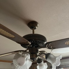 ファン付き照明器具の画像