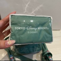 【早い者勝ち】美品！東京ディズニーリゾート期間限定 ポップコーンケースの画像