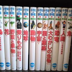 小学館 図鑑 12巻 中古