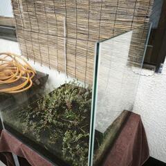 レグラスフラットの中古が安い！激安で譲ります・無料であげます