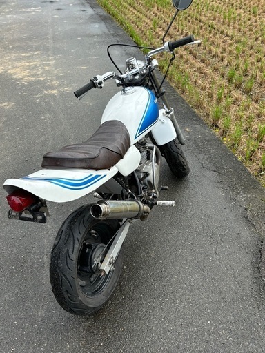 エイプ50 (R) 新居浜のホンダの中古あげます・譲ります｜ジモティーで  