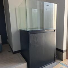 大型水槽の画像