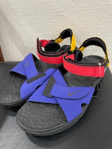 NIKE ACG AIR DESCHUTZ ナイキ エアデシューツ 26cm